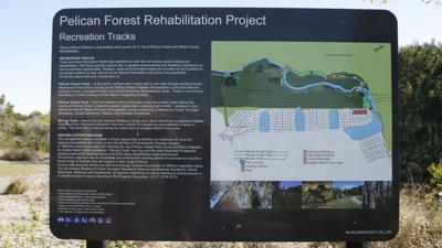 LIM_Fauna&Flora_fig_education sign eg.jpg