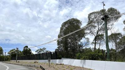 LIM_Fauna_Flora_fauna crossing1.jpg