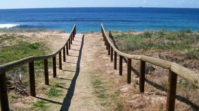 LIM_BI_fence types (2).jpg