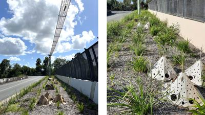 LIM_Fauna_Flora_fauna crossing2.jpg