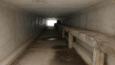 LIM_Fauna_Flora_fauna crossing_culvert underpass.jpg