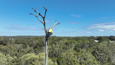 LIM_Fauna&Flora_fig_osprey pole eg.jpg