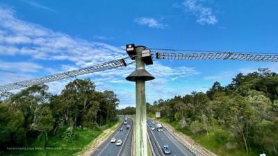 COPYWRIGHT photo credit netting.com.au_LIM_Fauna_Flora_fauna crossing3.jpg
