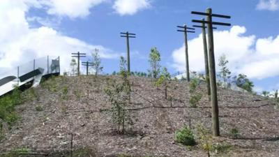 COPYWRIGHT photo credit BrendanTaylor_LIM_Fauna_Flora_glide poles2.jpg