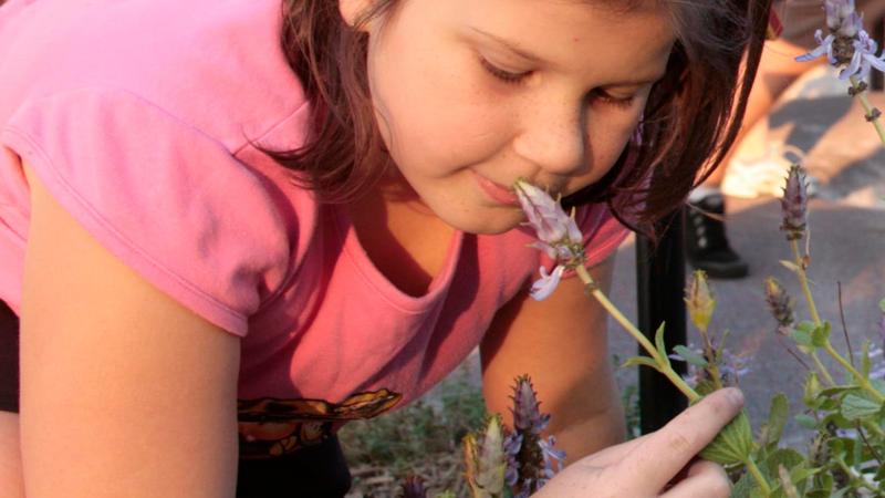 LIM_play_pic_sensory garden.jpg