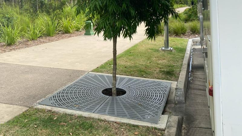 LIM_TreeSenDesign_pic_tree grate.jpg