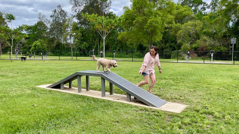 LIM_dog_fig_dog agility equipment_1.jpg