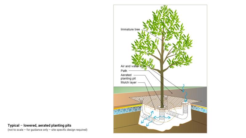 LIM_TreeSenDesign_fig_aerated pit.jpg
