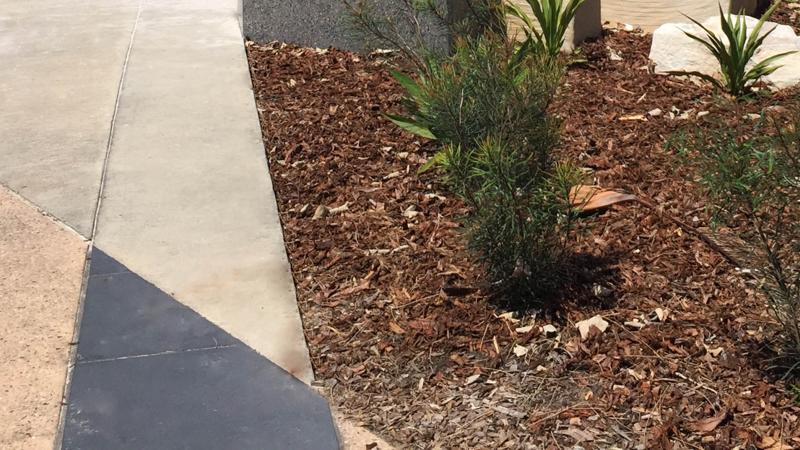 LIM_g edging_edge types_STONE PAVER.jpg