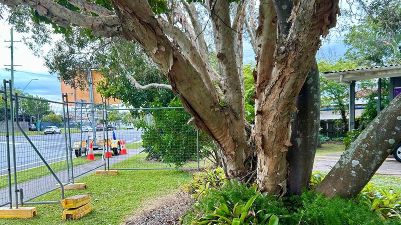 LIM_site setup_pic_TPZ.jpg