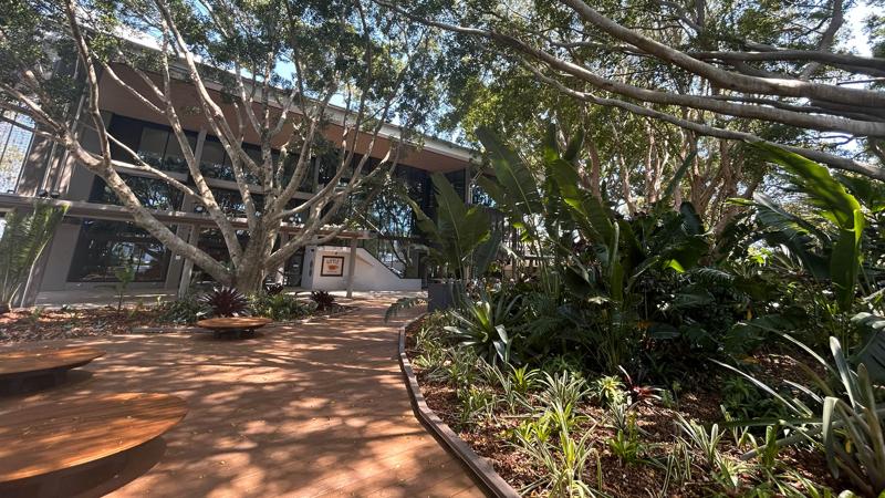 LIM_TreeSenDesign_pic_Cal Library deck.jpg