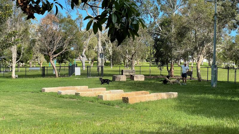 LIM_dog_fig_dog agility equipment_2.jpg