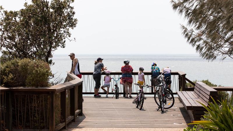 LIM_boardwalks_pic_boardwalk and viewing platform_5.jpg