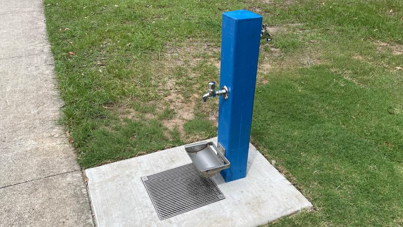 LIM_drink_pic_dog bowl_5.jpg