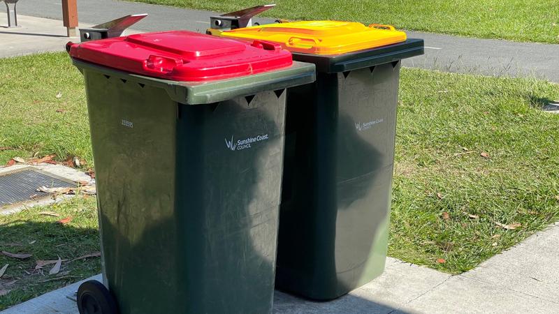 LIM_bins_fig_wheelie bins.jpg