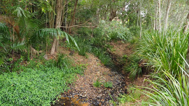 LIM_WSUD_Case study 4 elements_3.jpg