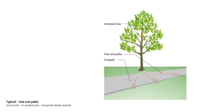 LIM_TreeSenDesign_fig_tree root paths.jpg