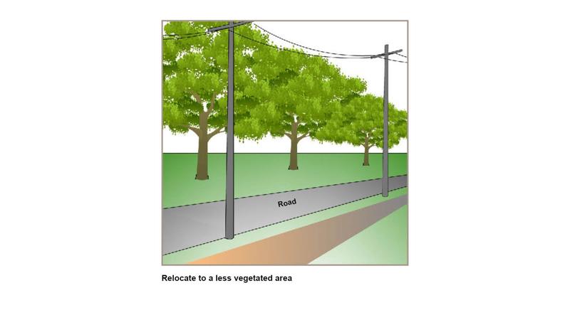 LIM_TreeSenDesign_fig_realighment or relocation.jpg