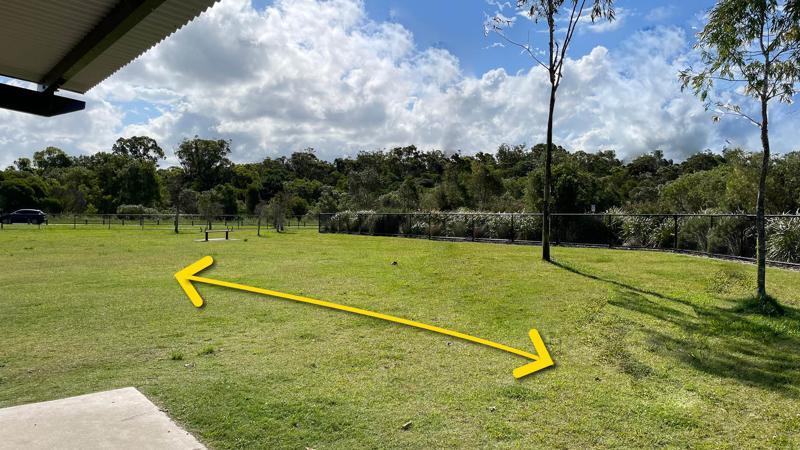 LIM_dog_pic_dog run area.jpg