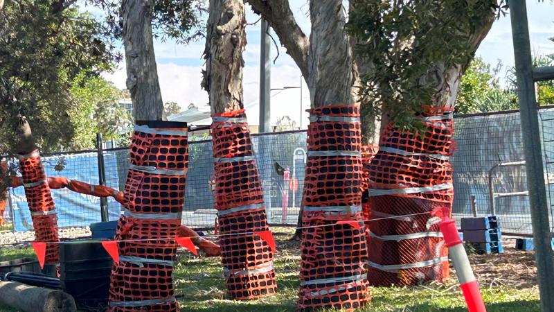 LIM_site setup_pic_trunk wrapping.jpg