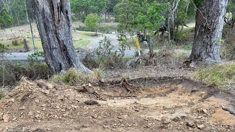 LIM_site setup_pic_tree damage 2.jpg