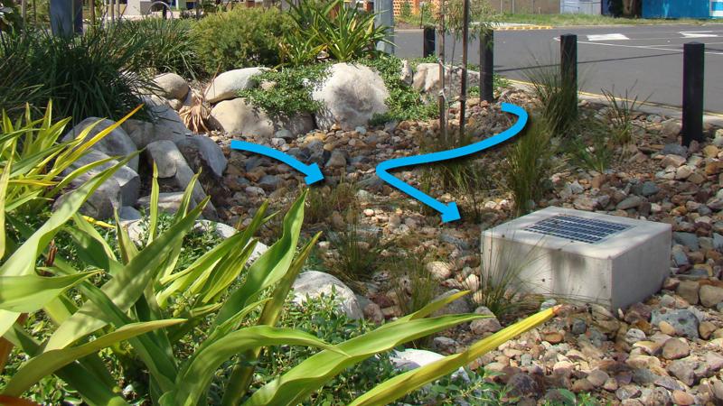 LIM_WSUD_pic_swale types_vegetated2.jpg