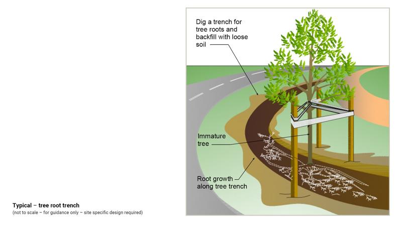 LIM_TreeSenDesign_fig_tree root trench.jpg