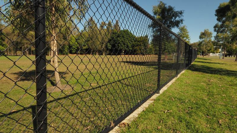 LIM_dog_fig_fenced DEA_concrete edge.jpg