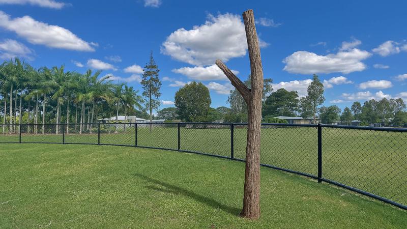 LIM_dog_koala pole eg.jpg