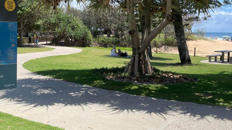 LIM_TreeSenDesign_pic_realighment or relocation_2.jpg