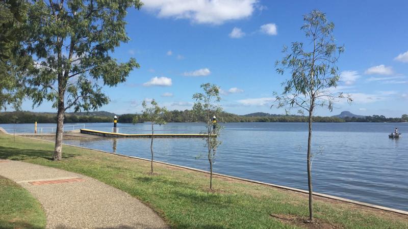 LIM_TreeSenDesign_pic_succession planting.jpg