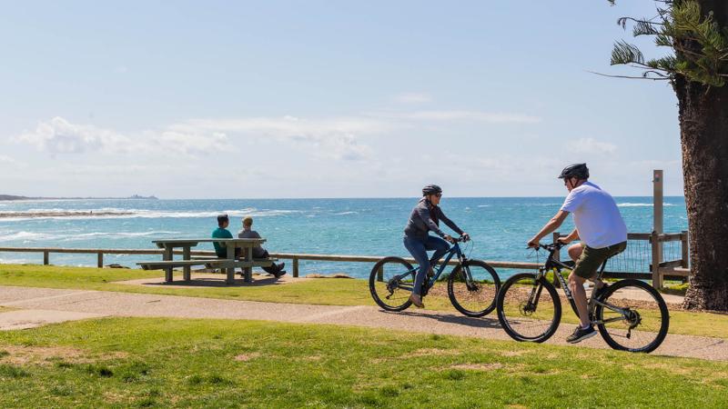 LIM_PTT_pic_pathway users3.jpg