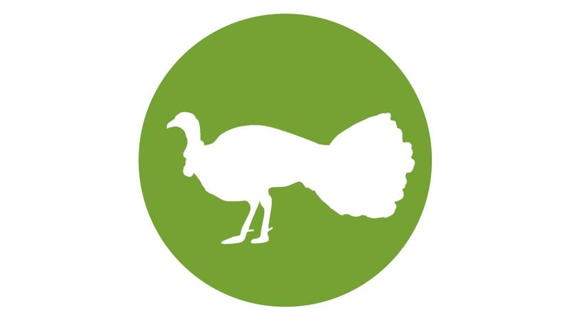 LIM_Fauna&Flora_fig_native urban fauna.jpg