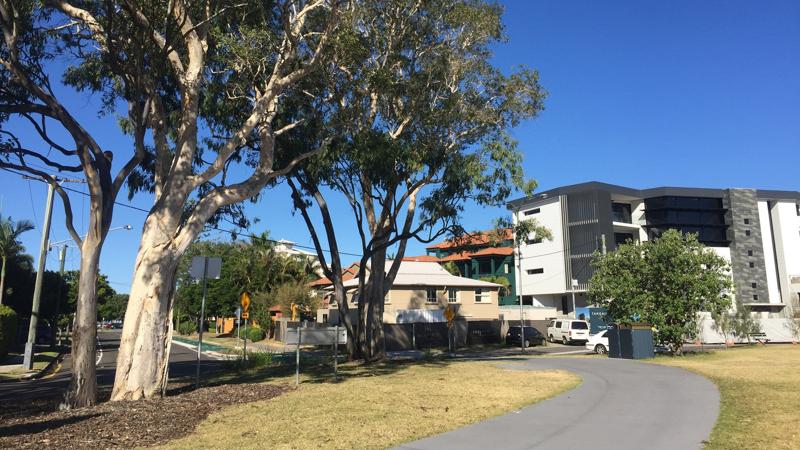 LIM_TreeSenDesign_fig_intro pic.jpg