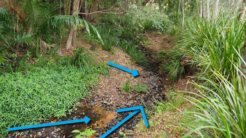 LIM_WSUD_pic_swale types_natural channel design.jpg