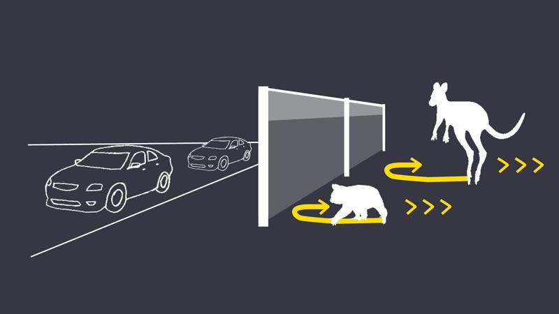 LIM_fence&gates_fig_fauna fences2.jpg