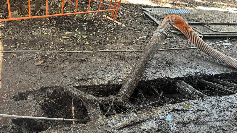 LIM_site setup_pic_vac ex of footings to protect tree roots.jpg