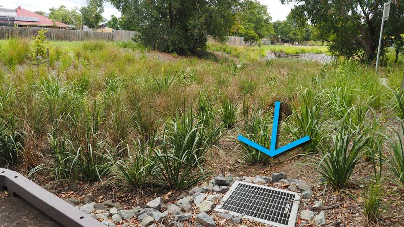 LIM_WSUD_pic_bioretention system_end of line.jpg