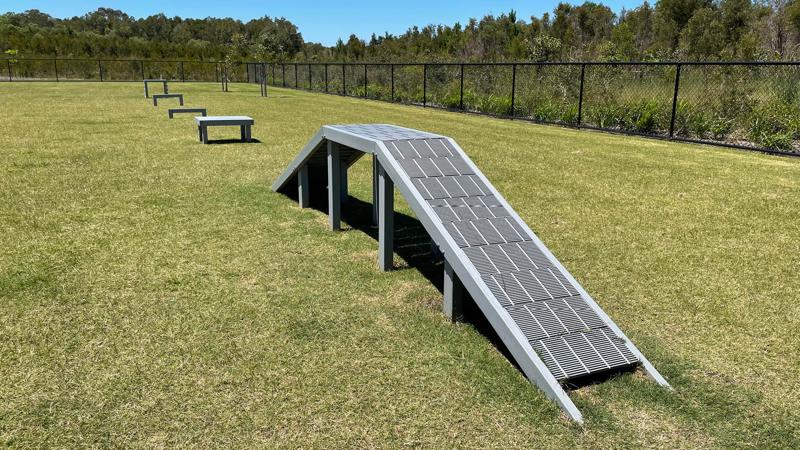 LIM_dog_fig_dog agility equipment_.jpg